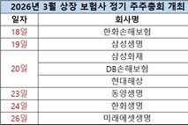 [2026 주총] 상장 보험사, 18일부터 릴레이 개최…이사회 새 멤버는?