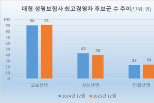 [2025 지배구조] 대형 생보사, CEO 후보군 155명…교보 91명 ‘최다’