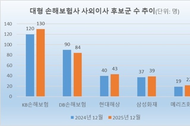 [2025 지배구조] 대형 손보사, 사외이사 후보군 확대…KB 130명 ‘최다’