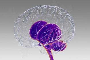 에스바이오메딕스, 글로벌 임상 '출혈 심화' 남은 실탄은