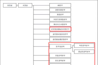 현대차, 글로벌 권역 체계 손질…시장 대응 속도 높인다