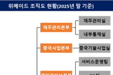 위메이드, 조직 효율화 속 위믹스 부서 축소