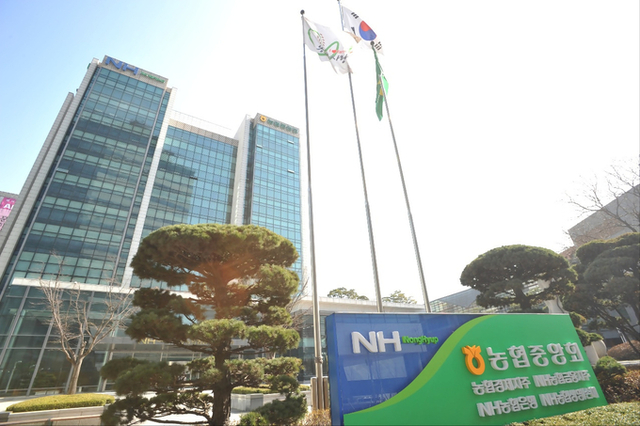 농협금융, 1년새 ‘회장 보수’ 2억 줄은 이유는