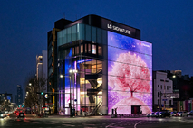 LG전자, 플래그십 D5 벚꽃 파사드 운영…체험형 공간 확대 나선다