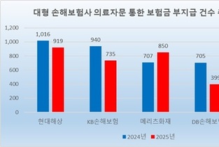 [2025 의료자문] 5대 손보사, 부지급 5 감소…부지급률 최고 12