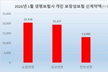 농협생명, 1월 보장성 신계약액 2兆…상품 경쟁력 강화