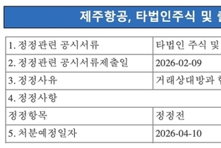 제주항공, IT 계열사 '지주사에 매각' 연기…"중단 가능성 없다"